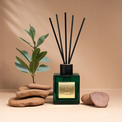 Signature Reed Diffuser - Fig Tree