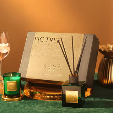Signature Fig Tree Gift Set