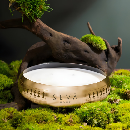 Medley Candle - Dil Se (Coconut Dream - Gold)