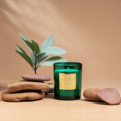 Signature Scented Candle - Fig Tree - Classic